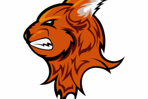 Работа 4187378