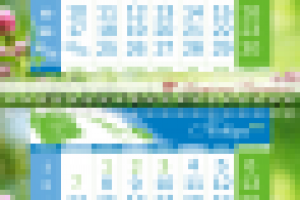 квартальный календарь