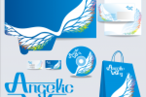 концепция ФС Angelic Way (компания продаж через интернет)