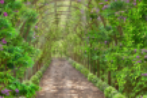 Фотоколлаж