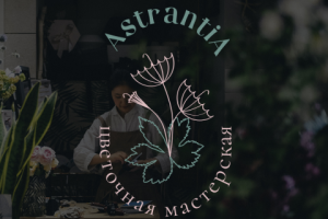 Astrantia