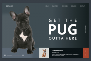 Разработал индивидуальный дизайн для заводчика