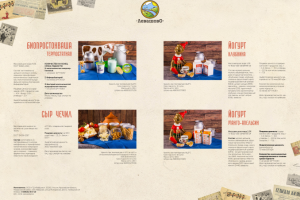 Дизайн и фото каталога