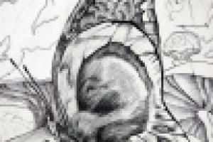 Метаморфозы