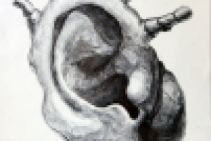 Метаморфозы