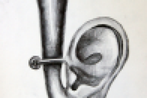 Метаморфозы