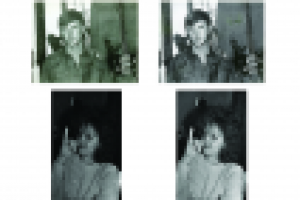 Работа 1611687