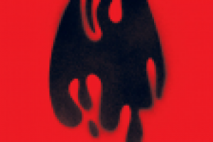 Экографика