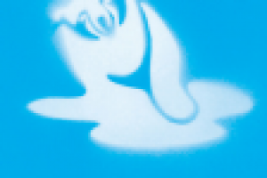 Экографика