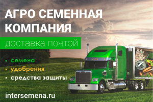 Баннер "доставка почтой"