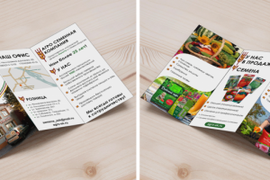 Флаер для Агро Семянной Компании