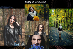 Работа 3491531