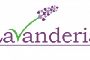 Эскиз логотипа для компании  Lavanderia