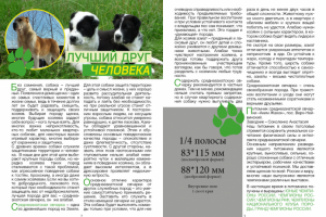 Статья для журнала