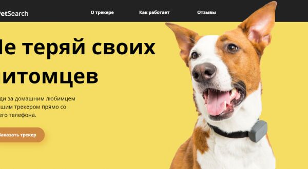 img3925116.png