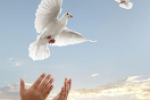 «Проект Венера»: границы сотрутся, национальности останутся