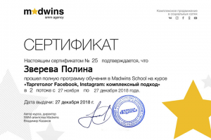 Madwins School. Таргетолог Facebook, Instagram
