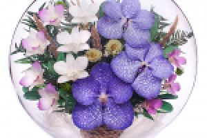 Работа 2343308