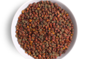 Работа 2343304