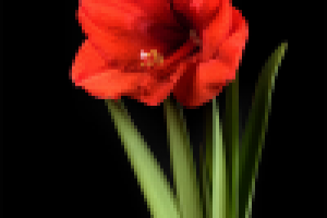 Работа 2343788