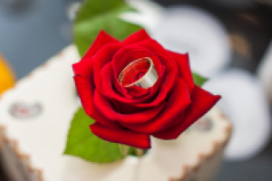 Работа 1802967