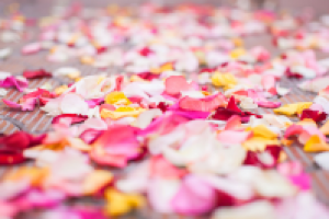 Работа 1802959