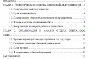 Организация и анализ отдела сбыта ООО «ЗСП»