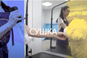 Реклама Груминг