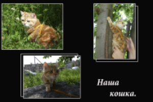 Простой коллаж