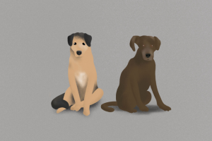 Работа 4198352