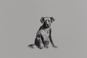 Работа 4198327