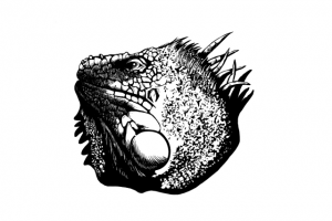 Работа 4196957