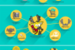 Инфографика для магазина канцелярии Коди