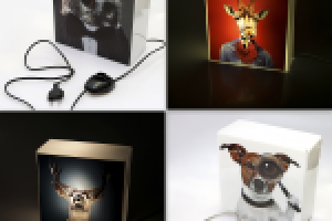 Рекламное фото с композицией товара