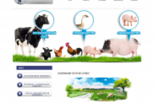 Интер Вет Сервис