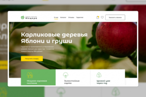 Лендинг страница для садового хозяйства "Мещера"