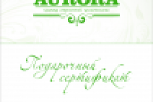 сертификат обложка светлая