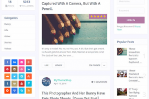 MyThemeShop SocialMe