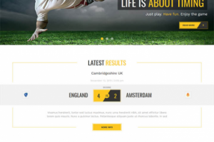 ThemeForest Sport.AK