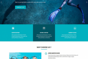 EngineTemplates Dive
