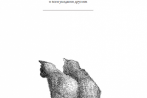 Книжное издание