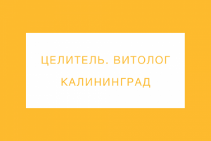 Целитель, витолог. Калининград