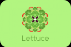 Lettuce