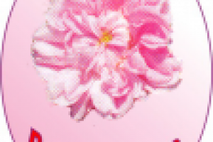 Работа 2522812