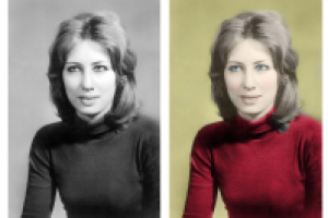 Работа 2522845