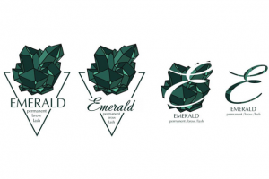 Логотип для компании EMERALD