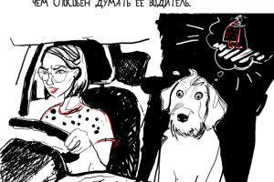 иллюстрация для квартального календаря