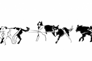 фрагмент иллюстрации