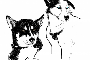 иллюстрация на граф планшете( фрагмент)