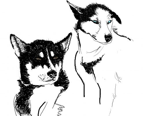 img3564355.png